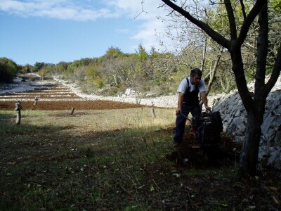 OPG Velčić Loredana