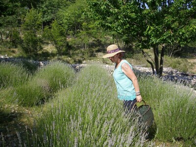 OPG Velčić Loredana