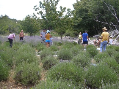 OPG Velčić Loredana