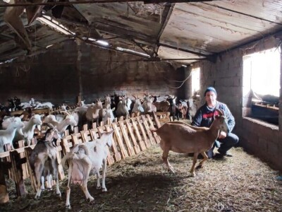 OPG "Viraj Rafael" iz Drinovaca u općini Grude