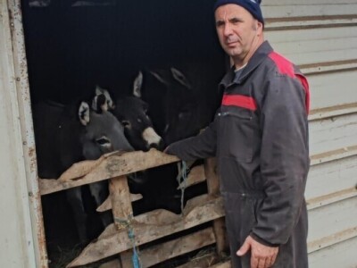 OPG "Viraj Rafael" iz Drinovaca u općini Grude