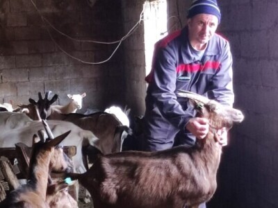 OPG "Viraj Rafael" iz Drinovaca u općini Grude