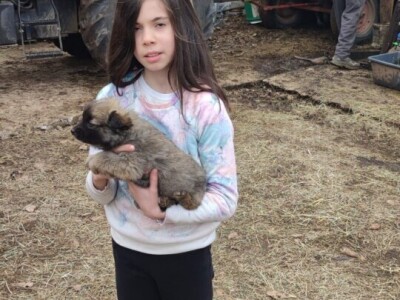 OPG "Viraj Rafael" iz Drinovaca u općini Grude