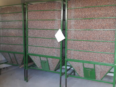 OPG Virovitički lješnjaci