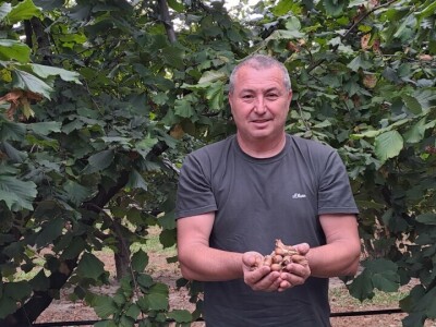 OPG Virovitički lješnjaci