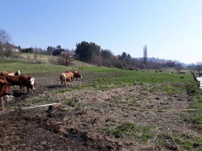 OPG Vlado Jurkas