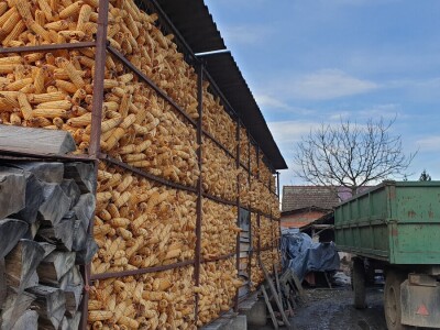 OPG Vlado Rastija iz Sopja