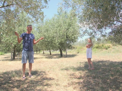 OPG Vošten