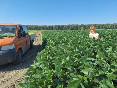 OPG Vrbanić iz Donjeg Miholjca