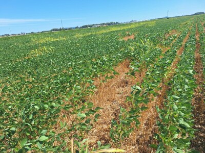 OPG Vrbanić iz Donjeg Miholjca