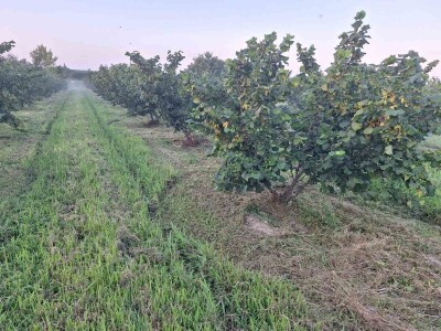 OPG Vrbanić iz Donjeg Miholjca