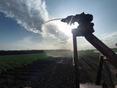 OPG Vrbanić iz Donjeg Miholjca