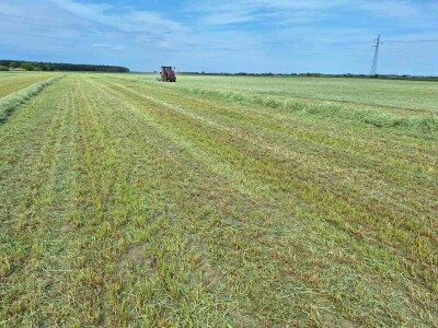 OPG Vrbanić iz Donjeg Miholjca