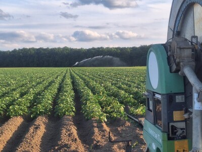 OPG Vrbanić iz Donjeg Miholjca