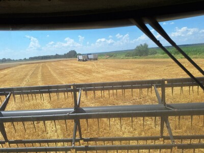 OPG Vrbanić iz Donjeg Miholjca