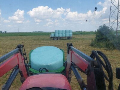 OPG Vrbanić iz Donjeg Miholjca