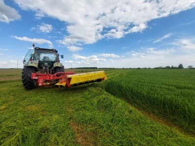 OPG Vrbanić iz Donjeg Miholjca