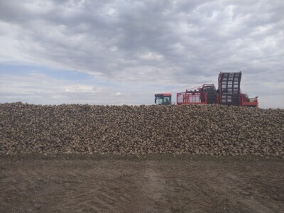 OPG Vrbanić iz Donjeg Miholjca