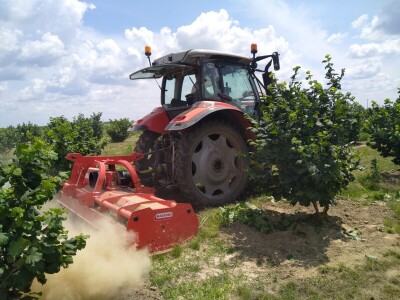 OPG Vrbanić iz Donjeg Miholjca