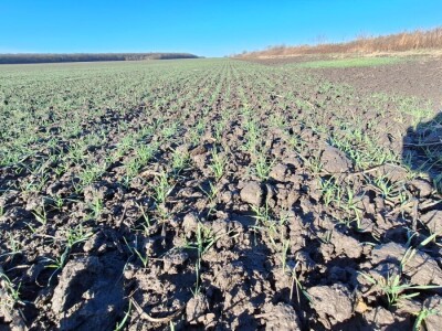 OPG Vrbanić iz Donjeg Miholjca