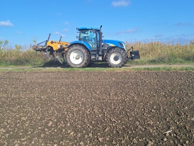 OPG Vrbanić iz Donjeg Miholjca