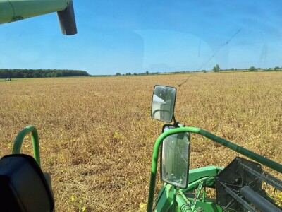 OPG Vrbanić iz Donjeg Miholjca