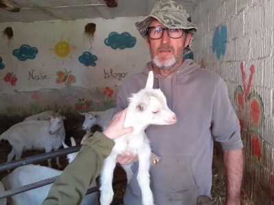 OPG Zadravec - Oporovec kod Preloga