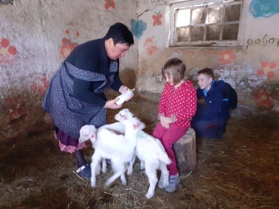 OPG Zadravec - Oporovec kod Preloga