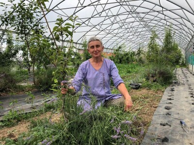 OPG ZDENKA DODIG OPG ZDENKA DODIG