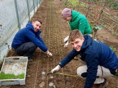 OPG ZDENKA DODIG OPG ZDENKA DODIG
