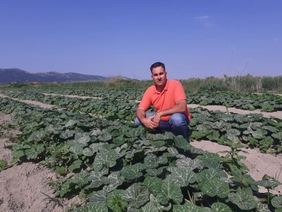 OPG Željko Bjeliš: Batat i tikve iz doline Neretve