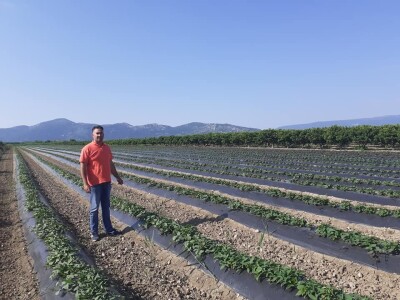 OPG Željko Bjeliš: Batat i tikve iz doline Neretve