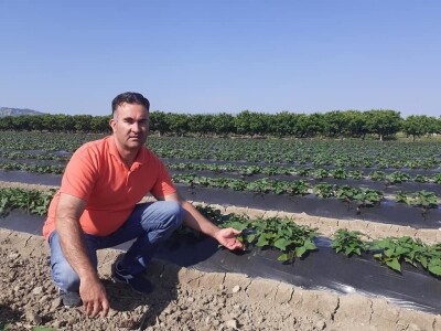 OPG Željko Bjeliš: Batat i tikve iz doline Neretve