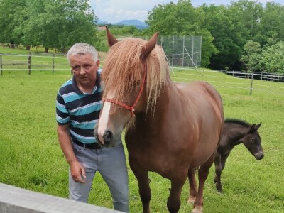OPG Željko Vuković