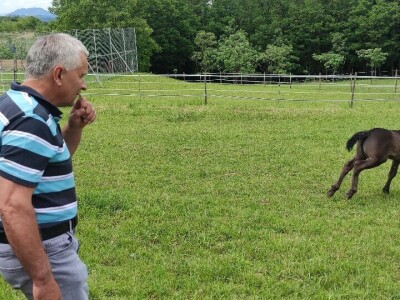 OPG Željko Vuković