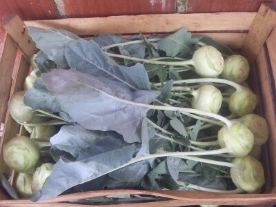 OPG Židanić Mihaljević