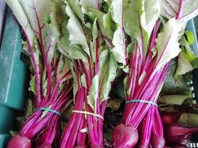 OPG Židanić Mihaljević