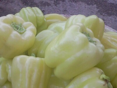 OPG Židanić Mihaljević