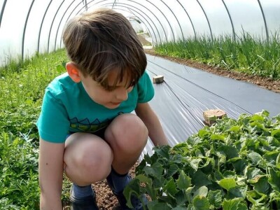 OPG Židanić Mihaljević