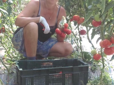 OPG Židanić Mihaljević