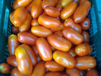 OPG Židanić Mihaljević