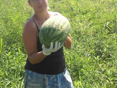 OPG Židanić Mihaljević