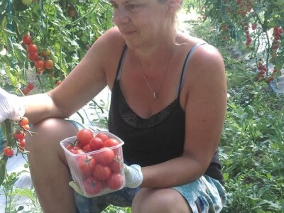 OPG Židanić Mihaljević