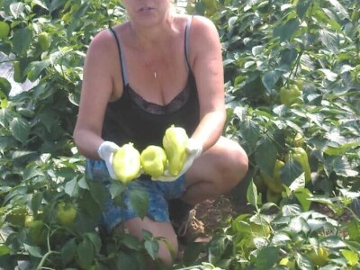 OPG Židanić Mihaljević