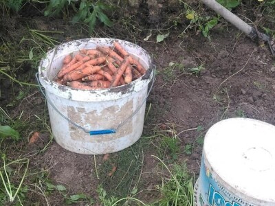 OPG Židanić Mihaljević