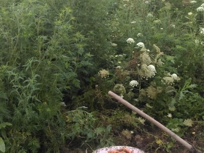 OPG Židanić Mihaljević