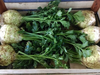 OPG Židanić Mihaljević