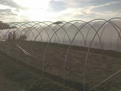 OPG Židanić Mihaljević