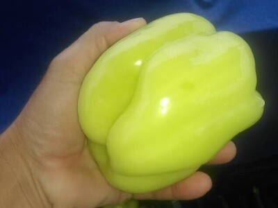 OPG Židanić Mihaljević