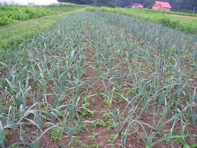 OPG Židanić Mihaljević